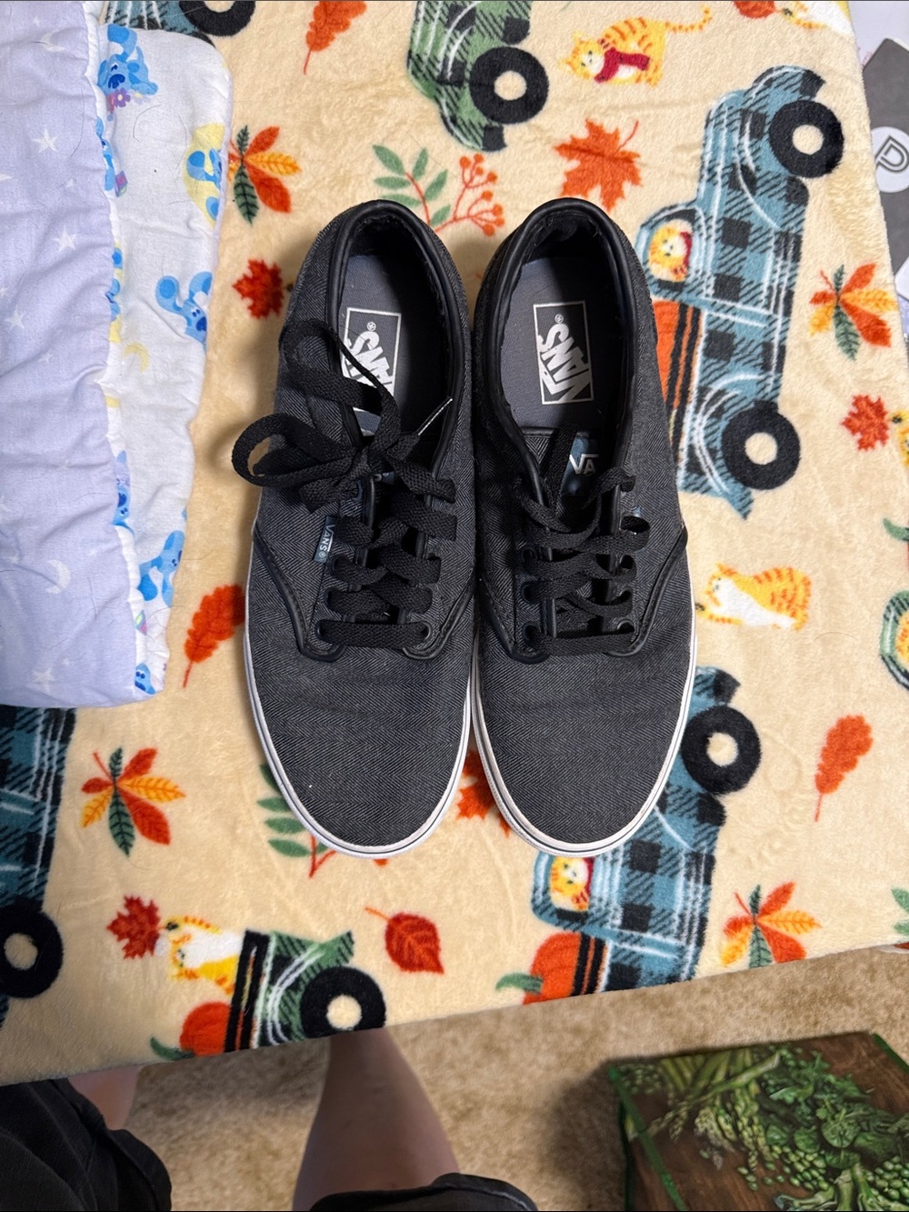 Vans Charcoal Grey Canvas Low-Top Lace-Up Sneakers